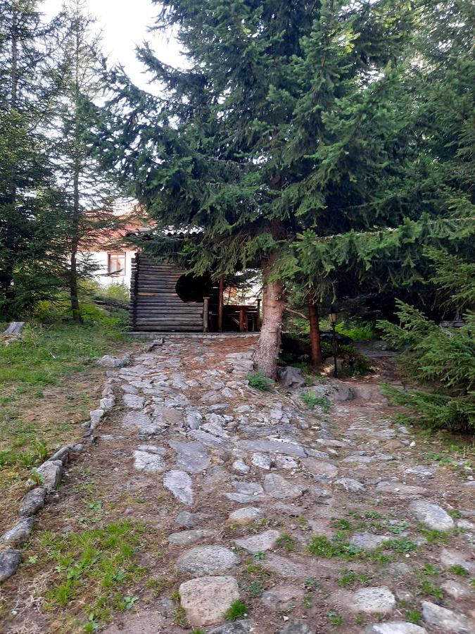 Луксозен Апартамент - "Моето Щастливо Място"- Смолянски Езера Smolyan Exterior foto